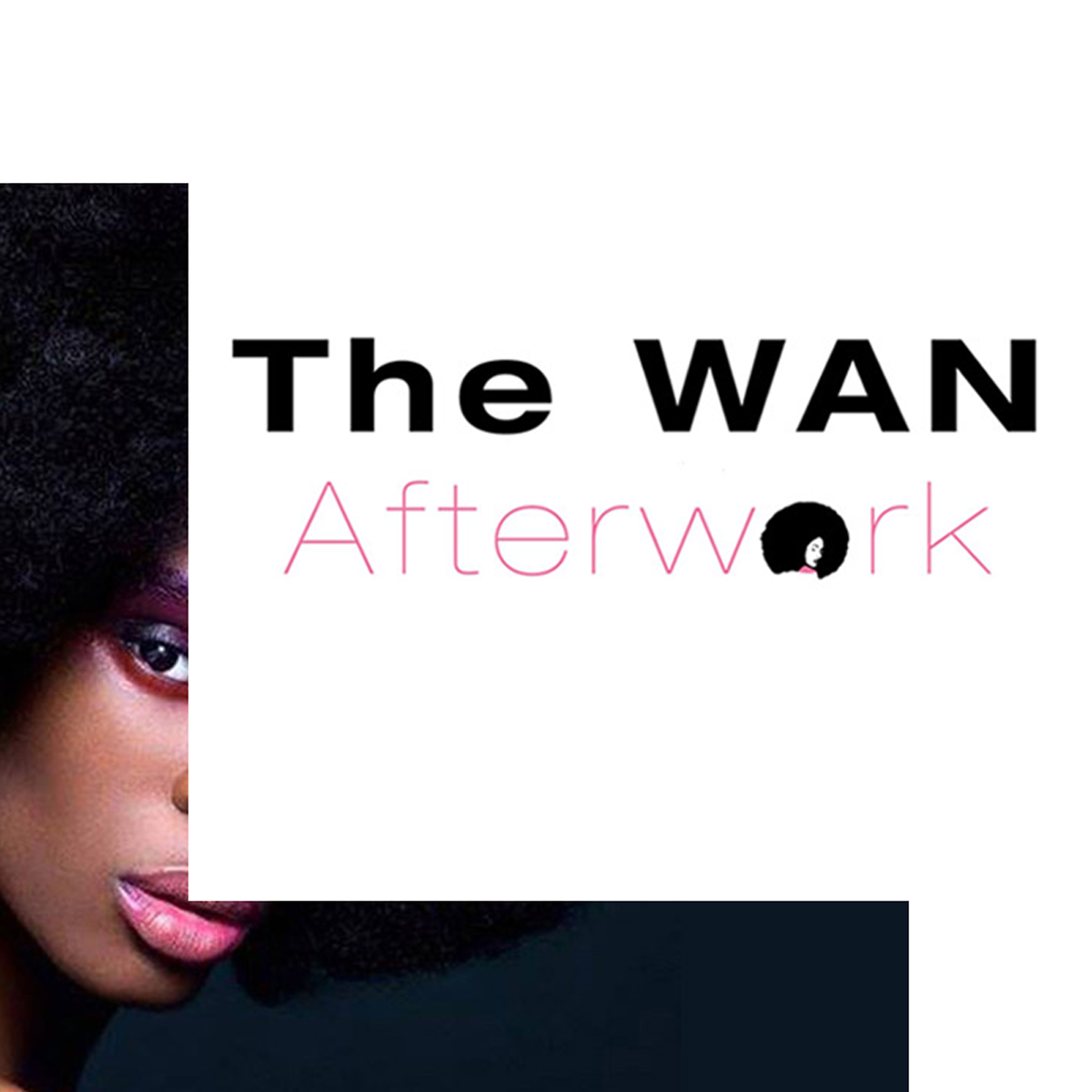The Women of the afropolitan network